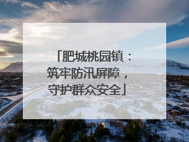 肥城桃园镇：筑牢防汛屏障，守护群众安全