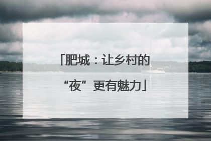 肥城：让乡村的“夜”更有魅力