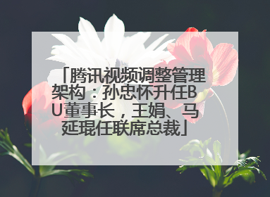 腾讯视频调整管理架构：孙忠怀升任BU董事长，王娟、马延琨任联席总裁