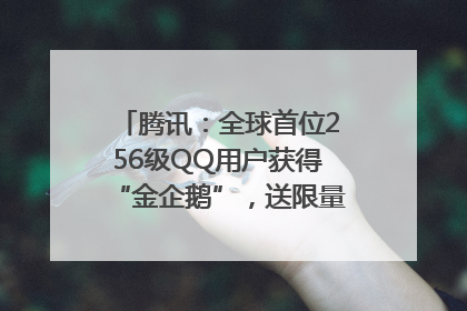 腾讯：全球首位256级QQ用户获得“金企鹅”，送限量版神秘惊喜等礼物