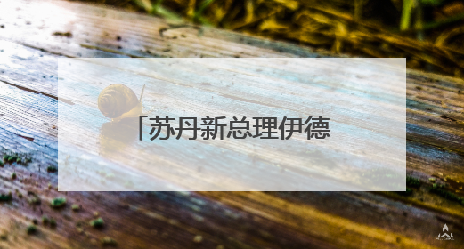 苏丹新总理伊德里斯宣誓就职