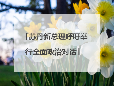 苏丹新总理呼吁举行全面政治对话