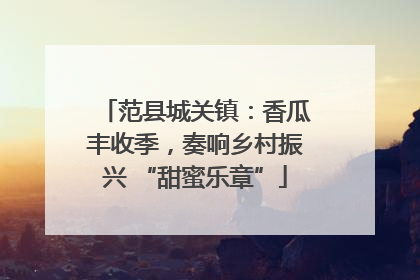 范县城关镇：香瓜丰收季，奏响乡村振兴 “甜蜜乐章”