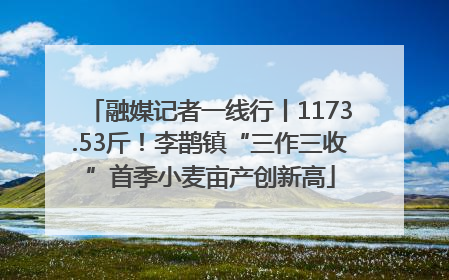 融媒记者一线行丨1173.53斤！李鹊镇“三作三收”首季小麦亩产创新高