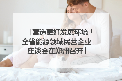 营造更好发展环境！全省能源领域民营企业座谈会在郑州召开