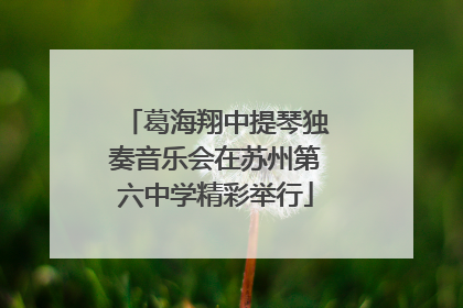 葛海翔中提琴独奏音乐会在苏州第六中学精彩举行