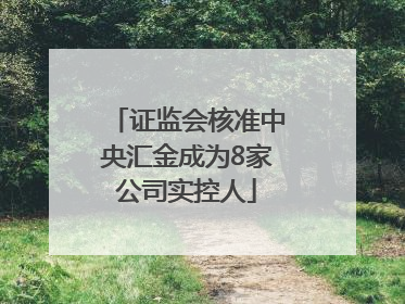 证监会核准中央汇金成为8家公司实控人