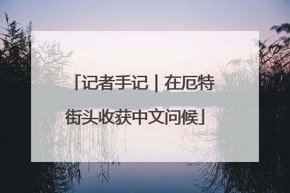 记者手记｜在厄特街头收获中文问候