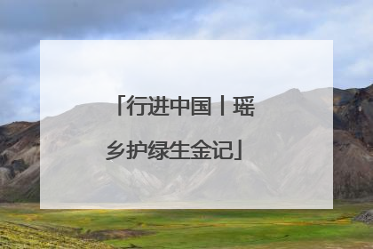 行进中国丨瑶乡护绿生金记