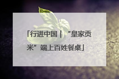 行进中国｜“皇家贡米”端上百姓餐桌