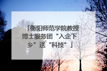 衡阳师范学院教授博士服务团“入企下乡”送“科技”