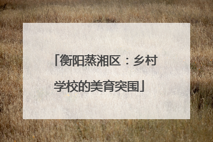 衡阳蒸湘区：乡村学校的美育突围