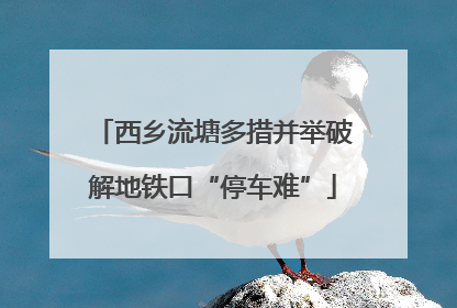 西乡流塘多措并举破解地铁口“停车难”