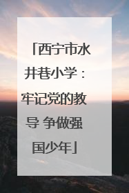 西宁市水井巷小学：牢记党的教导 争做强国少年