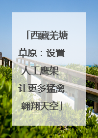 西藏羌塘草原：设置人工鹰架 让更多猛禽翱翔天空