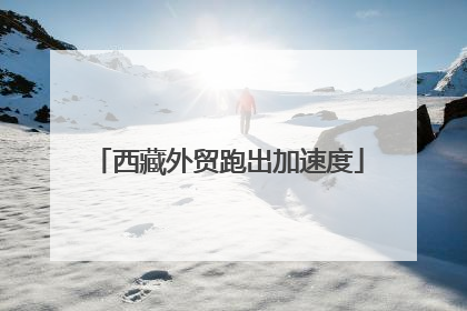 西藏外贸跑出加速度