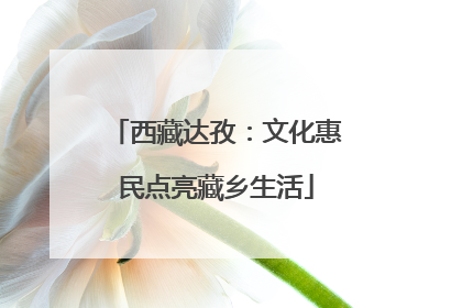 西藏达孜：文化惠民点亮藏乡生活