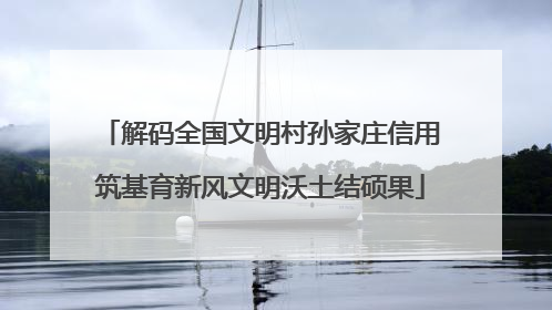 解码全国文明村孙家庄信用筑基育新风文明沃土结硕果
