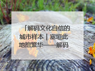解码文化自信的城市样本｜塞垣此地擅繁华——解码乌鲁木齐的文化自信样本