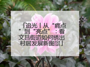 追光丨从“痛点”到“亮点”：看文昌街道如何绣出村居发展新图景