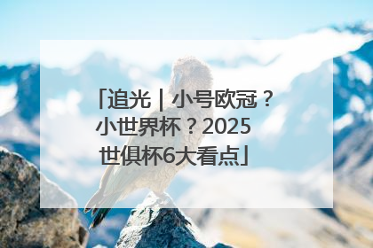 追光｜小号欧冠？小世界杯？2025世俱杯6大看点