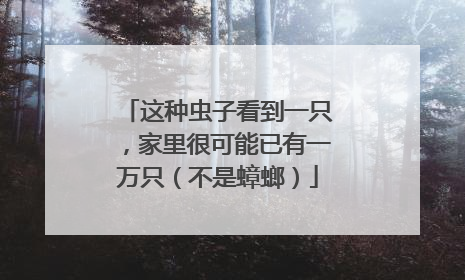 这种虫子看到一只，家里很可能已有一万只（不是蟑螂）