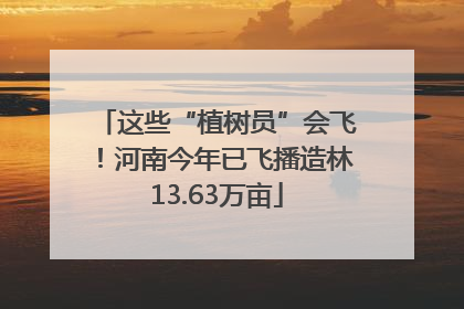 这些“植树员”会飞！河南今年已飞播造林13.63万亩