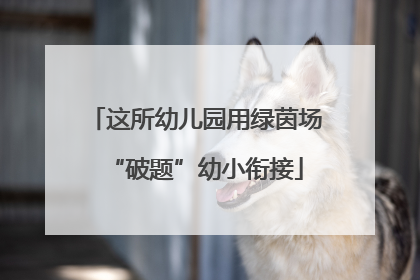 这所幼儿园用绿茵场“破题”幼小衔接