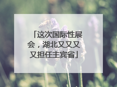 这次国际性展会，湖北又又又又担任主宾省