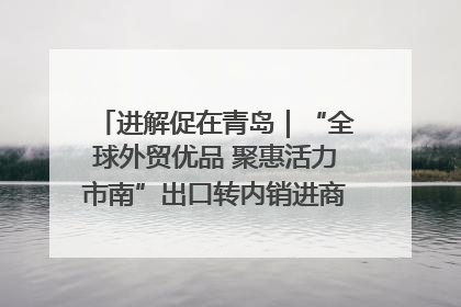 进解促在青岛｜“全球外贸优品 聚惠活力市南”出口转内销进商超专场活动启动