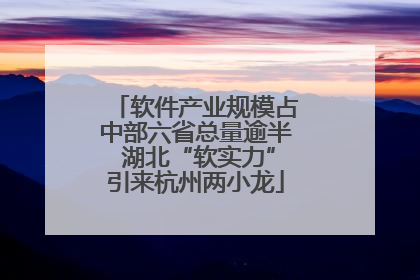 软件产业规模占中部六省总量逾半 湖北“软实力”引来杭州两小龙