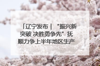 辽宁发布｜“振兴新突破 决胜勇争先”抚顺力争上半年地区生产总值增长7%左右