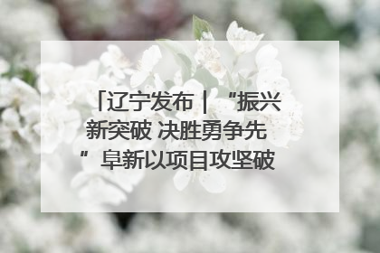 辽宁发布｜“振兴新突破 决胜勇争先”阜新以项目攻坚破解发展瓶颈 经济发展实现良好开局