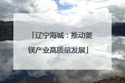 辽宁海城：推动菱镁产业高质量发展