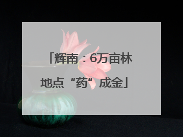 辉南：6万亩林地点“药”成金