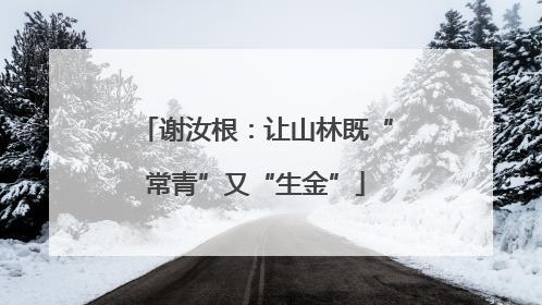 谢汝根：让山林既“常青”又“生金”