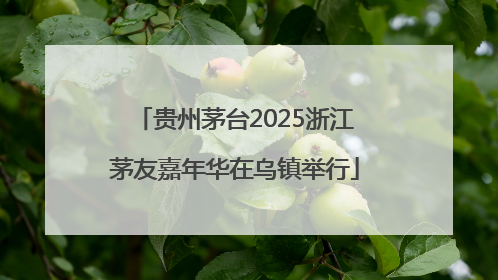 贵州茅台2025浙江茅友嘉年华在乌镇举行