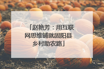 赵艳芳：用互联网思维铺就固阳县乡村助农路