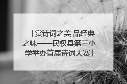 赏诗词之美 品经典之味——民权县第三小学举办首届诗词大赛