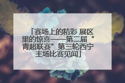 赛场上的精彩 展区里的惊喜——第二届“青超联赛”第三轮西宁主场比赛见闻