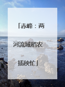 赤峰：两河流域稻农插秧忙