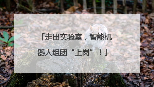 走出实验室，智能机器人组团“上岗”！