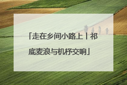 走在乡间小路上丨祁底麦浪与机杼交响