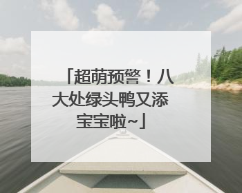 超萌预警！八大处绿头鸭又添宝宝啦~
