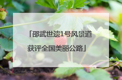 邵武世遗1号风景道获评全国美丽公路