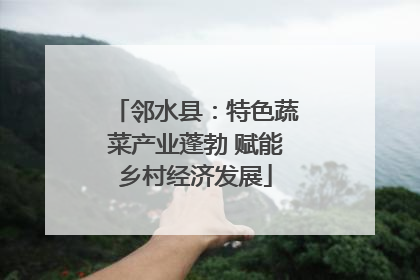 邻水县：特色蔬菜产业蓬勃 赋能乡村经济发展