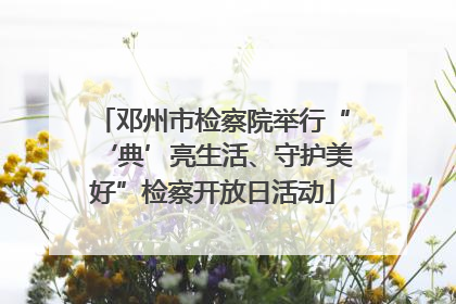 邓州市检察院举行“‘典’亮生活、守护美好”检察开放日活动