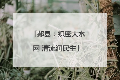 郏县：织密大水网 清流润民生
