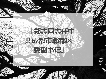 郑志同志任中共成都市郫都区委副书记