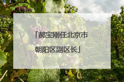 郝宝刚任北京市朝阳区副区长